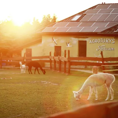 Bed & Breakfast Klekusiowo 3*