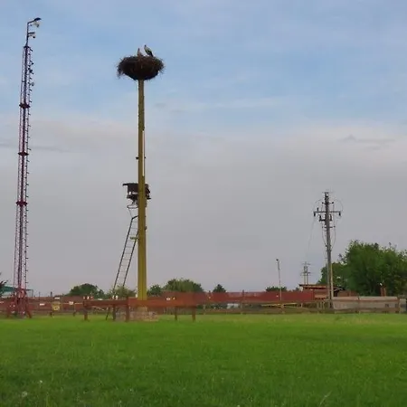 Agroturystyka Klekusiowo Отель типа 