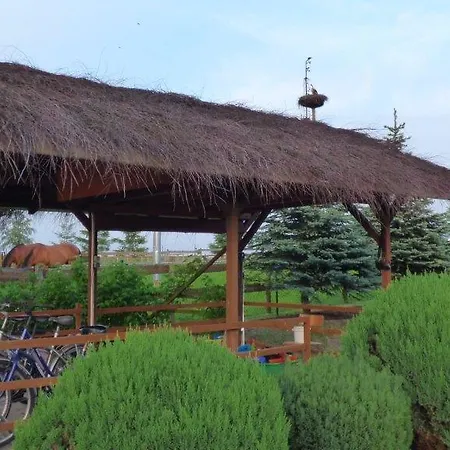 Bed & Breakfast Klekusiowo