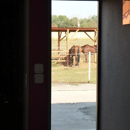 Klekusiowo Bed & Breakfast Boleslawiec (Lower Silesia)