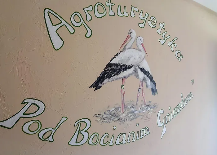 Frühstückspension Agroturystyka Klekusiowo