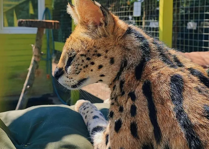 Agroturystyka Klekusiowo Frühstückspension