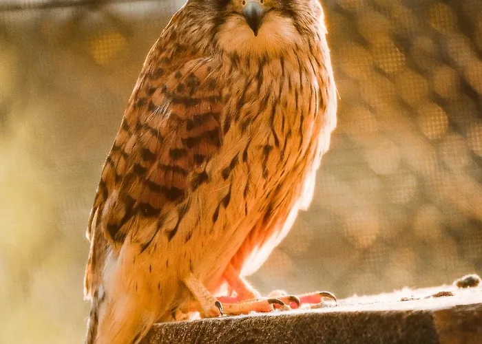 Frühstückspension Agroturystyka Klekusiowo