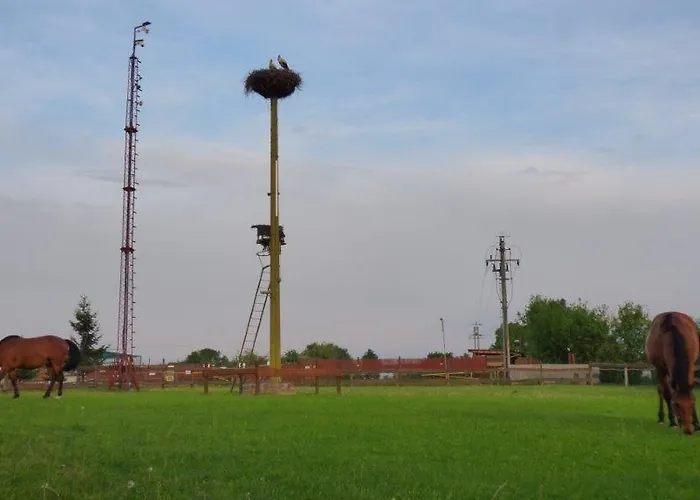 Agroturystyka Klekusiowo Frühstückspension Boleslawiec (Lower Silesia)